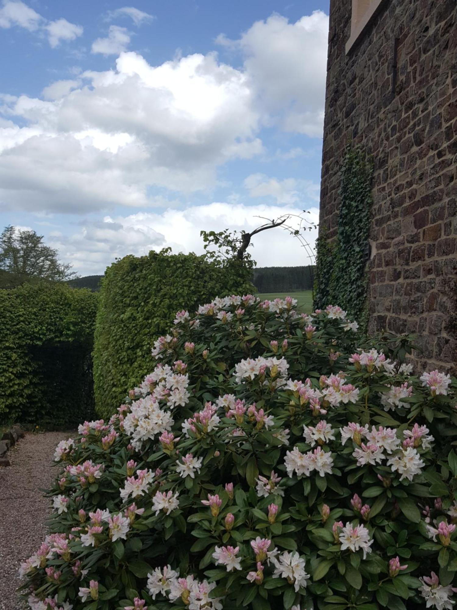 Die Alte Schule Haeuschen Villa St. Vith Room photo